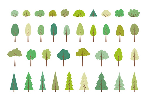 TREES. Vector set of flat trees, forest and bush. Collection elements, various green trees, bushes. Nature design flat icon of forest. Simple spring, summer illustration. Minimal cute nature icons.