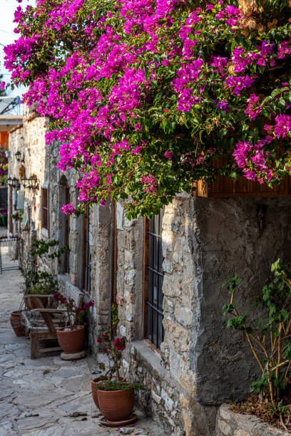 istock Street view covered with bougainvillea in the old Datca 1368411210