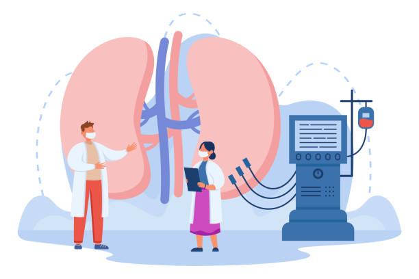 ilustraciones, imágenes clip art, dibujos animados e iconos de stock de médicos diminutos que tratan la hemodiálisis ilustración vectorial plana - pumping blood illustrations