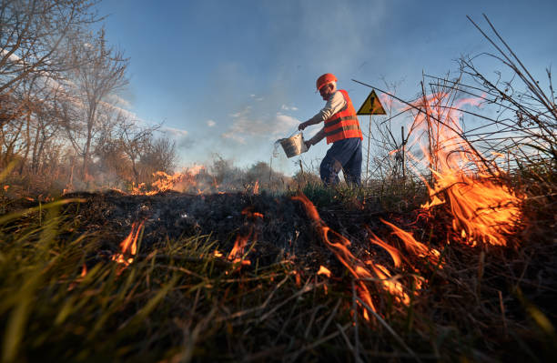 istock Fireman ecologist fighting fire in field in the evening 1368412053