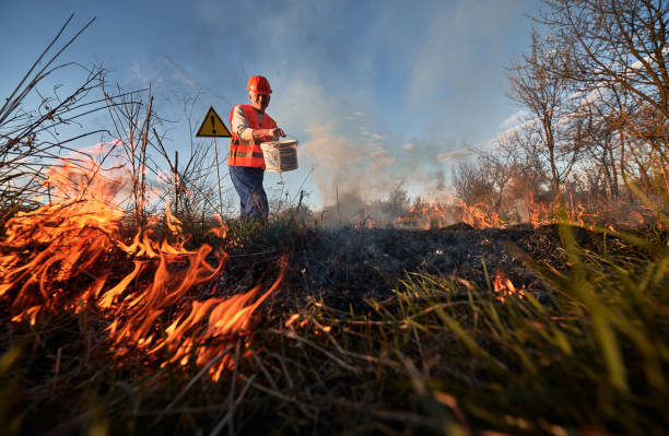 istock Fireman ecologist fighting fire in field in the evening 1368412056