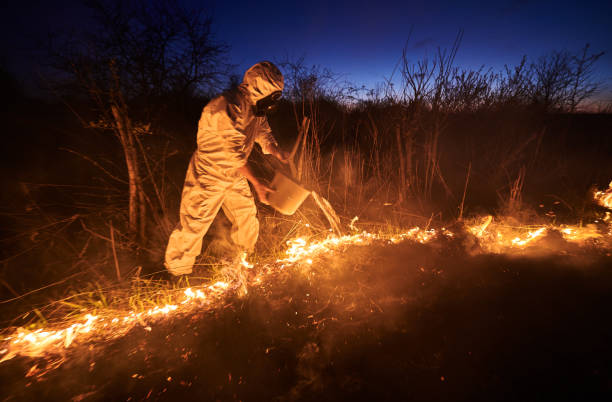 istock Fireman ecologist extinguishing fire in field in the evening 1368412217