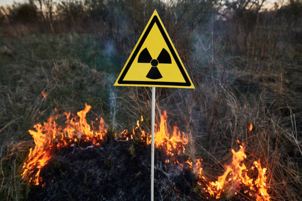 istock Burning dry grass in field and warning sign 1368412398