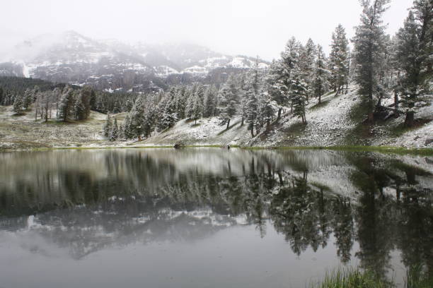 istock Reflection on Trout Lake with snow 1368412499