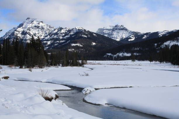 istock Winter scene in Lamar Valley with stream and mountains 1368414097