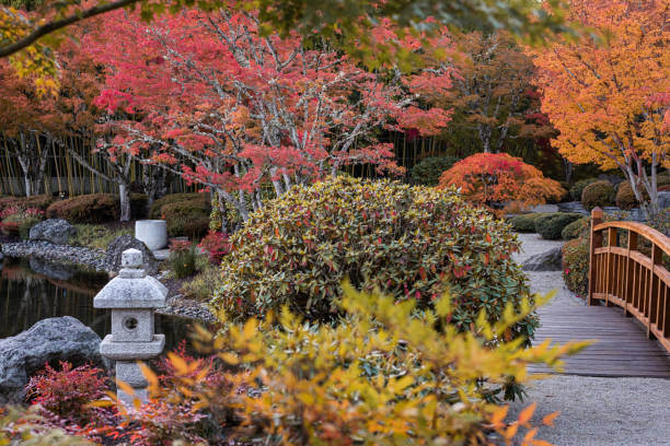 istock Japanese zen garden in autumn 1368415349