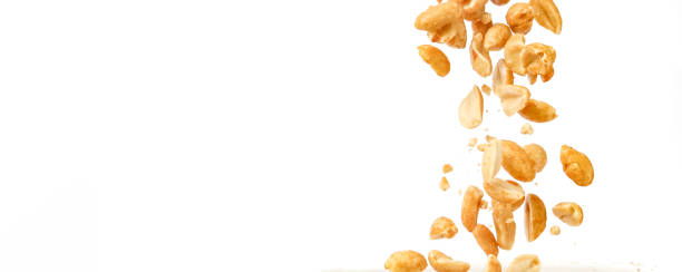 peanut kernels falling with white background and copy space. - arachis hypogaea fotos imagens e fotografias de stock