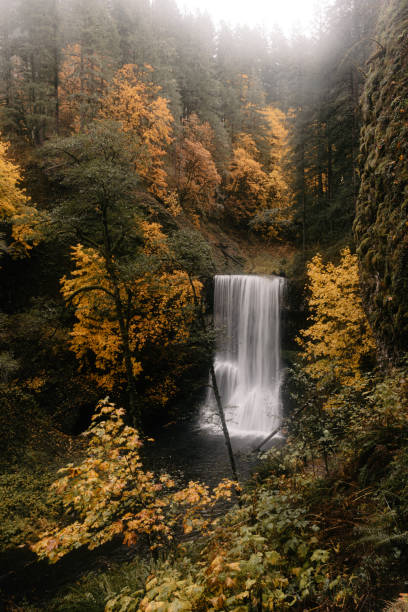 istock Beautiful waterfall in autumn forest 1368415597