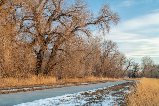 istock sunset over bike trail along Poudre River 1368417172