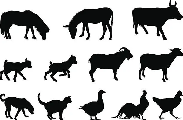 Vector illustration of Farm animal silhouettes