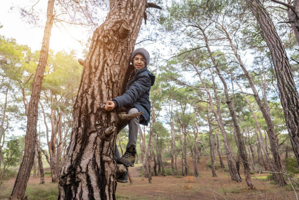 istock Teenage boy playing outdoor, climbing a tree, bright sunlight, 1368418908