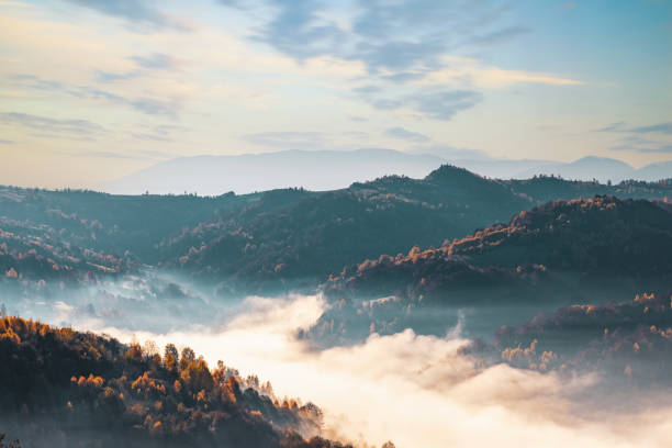 istock Giant mountains with coniferous forests surrounded by fog 1368418942