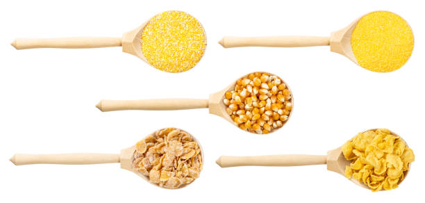 set of top views of wooden spoon with various maize corns isolated on white background