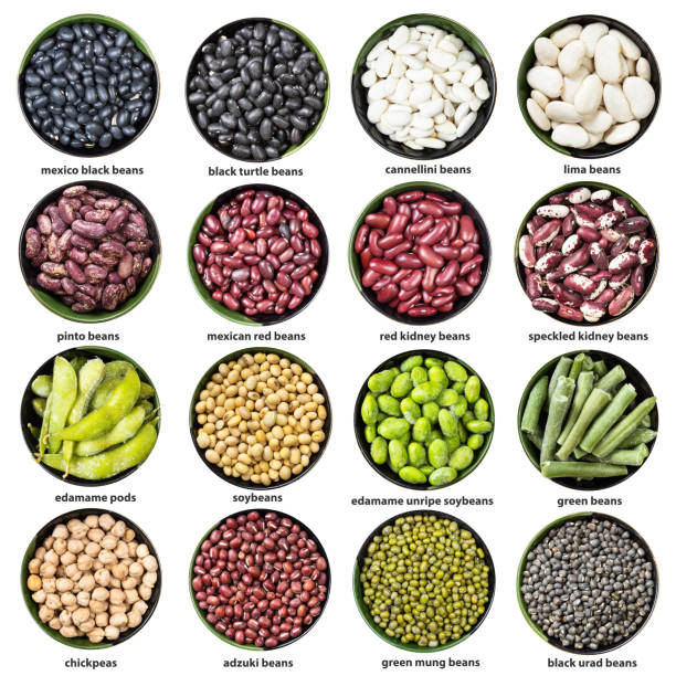 set of various beans in bowls with names isolated set of various beans in bowls with names isolated on white background red mung bean stock pictures, royalty-free photos & images