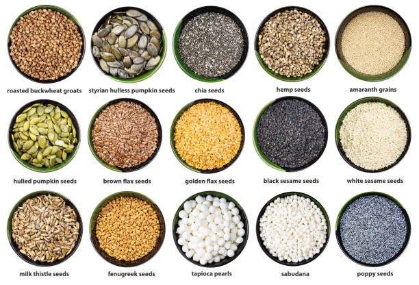 set of various seeds and grains in bowl with names - achene imagens e fotografias de stock