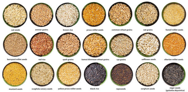 istock set of various seeds in bowls with names isolated 1368420344