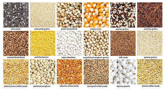 set of square food background - various small grains with names close up