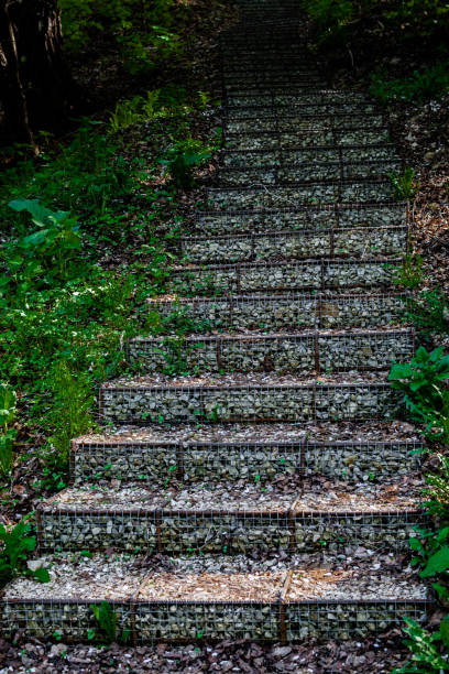 istock d stone steps stone stairs in the forest 1368422901