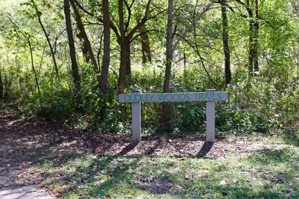istock Old Wood Sign 1368424339