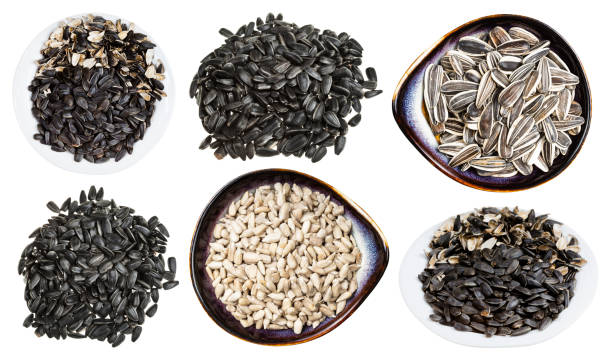 set of various sunflower seeds isolated on white set of various sunflower seeds isolated on white background rapeseed shell stock pictures, royalty-free photos & images