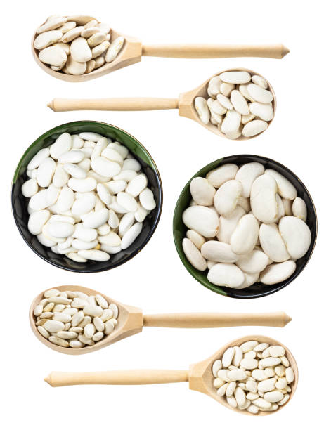 白に分離された様々な白豆のセット - wax bean ストックフォトと画像