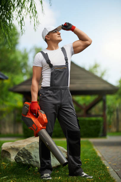 istock Man in overalls standing at garden with leaf blower in hands 1368426437
