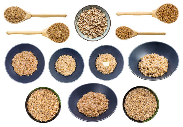 set of various cooked and raw emmer wheat grains isolated on white background
