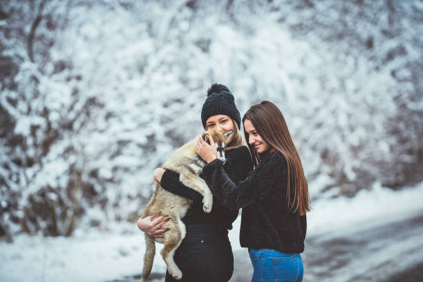 istock Girl holding husky puppy 1368430162