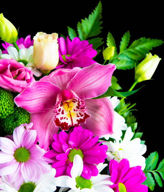 istock orchid flower isolated on black background 1368431302