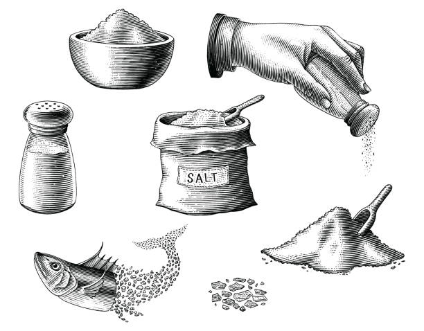 ilustrações de stock, clip art, desenhos animados e ícones de salt collection hand draw vintage engraving style black and white clipart - salt