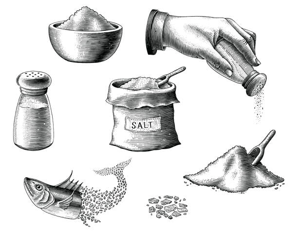 Salt collection hand draw vintage engraving style black and white clipart