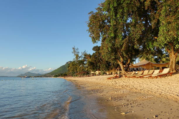 istock Tropical Island Beach and Sea 1368431590