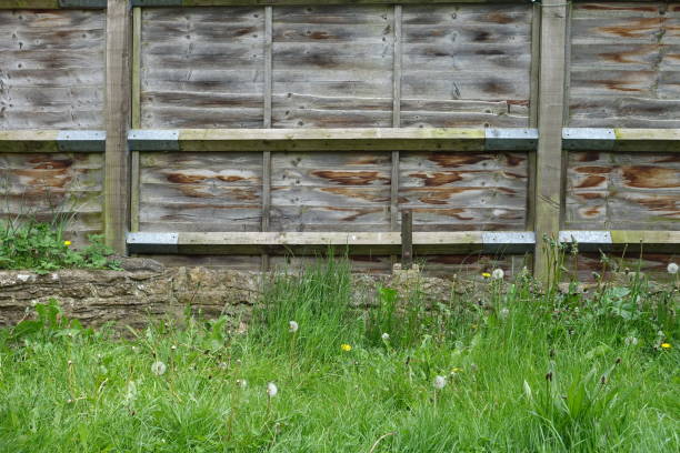 istock Wooden Fence 1368431761