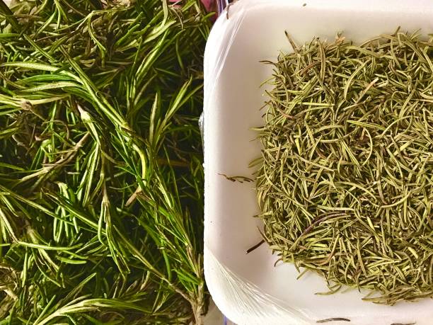istock Dry, preserved and Fresh Rosemary leaves 1368432580