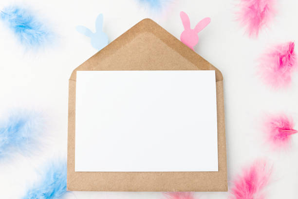 Gender Reveal Pictures [HD] | Download Free Images on Unsplash