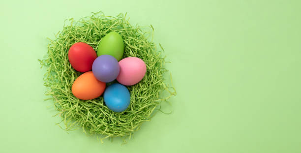 istock Easte pastel color egg in a nest, green background, overhead view 1368432876