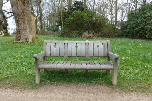 istock Wooden Bench in a Park 1368433472