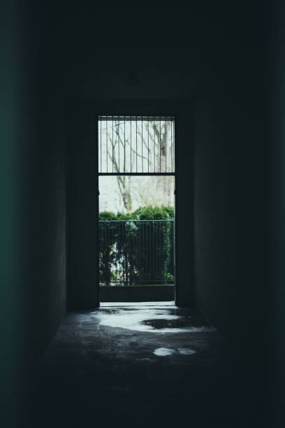 istock Corridor, Gate, Tunnel, Fence 1368435972