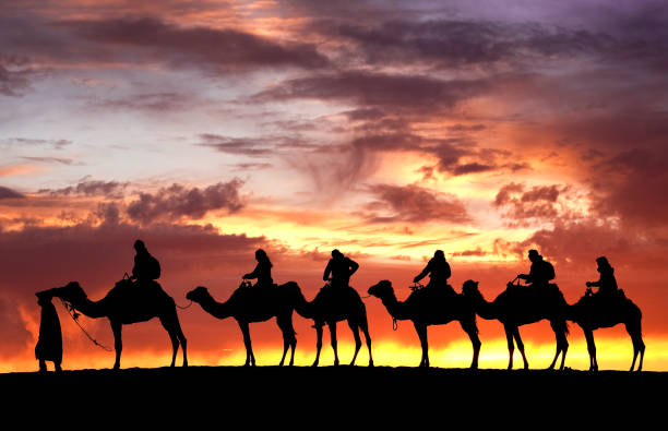 marocco - morocco desert camel africa foto e immagini stock