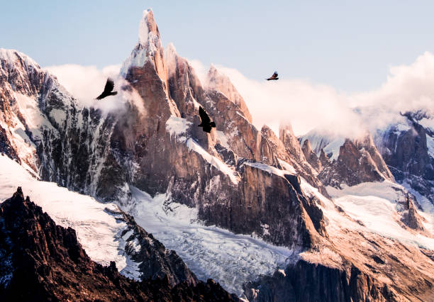 Argentina The landscapes of patagonia are breathtakingly beautiful andes mountains chile stock pictures, royalty-free photos & images