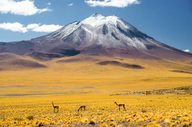 Chile The landscapes of chile are so versatile - mountains, beaches, bizarre rock formations and salt lagoons atacama region stock pictures, royalty-free photos & images