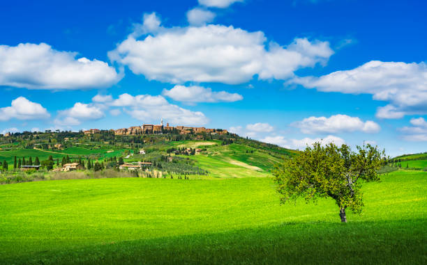 pueblo medieval de pienza y un árbol. siena, val d'orcia, toscana, italia - val dorcia fotografías e imágenes de stock