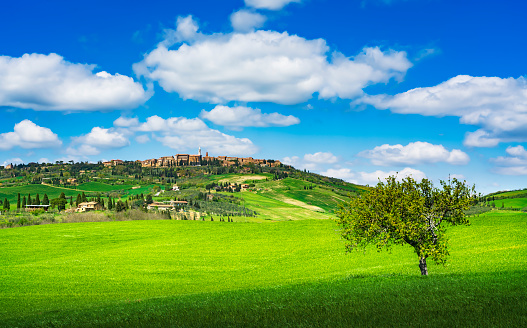 Pienza medieval village skyline and a tree. Springtime landscape. Siena, Val d'Orcia, Tuscany region, Italy, Europe