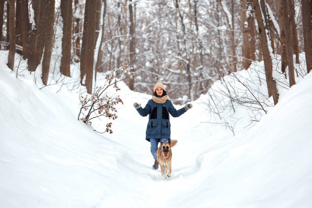 istock The dog for a walk 1368448081
