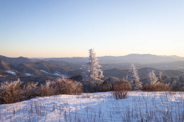snowy winter sunrise at roan mountain on the north carolina tennessee border - cherokee north carolina asheville blue ridge parkway imagens e fotografias de stock