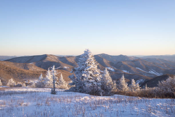 snowy winter sunrise at roan mountain on the north carolina tennessee border - cherokee north carolina asheville blue ridge parkway imagens e fotografias de stock