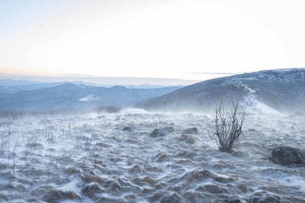 snowy winter day at roan mountain on the north carolina tennessee border - cherokee north carolina asheville blue ridge parkway imagens e fotografias de stock