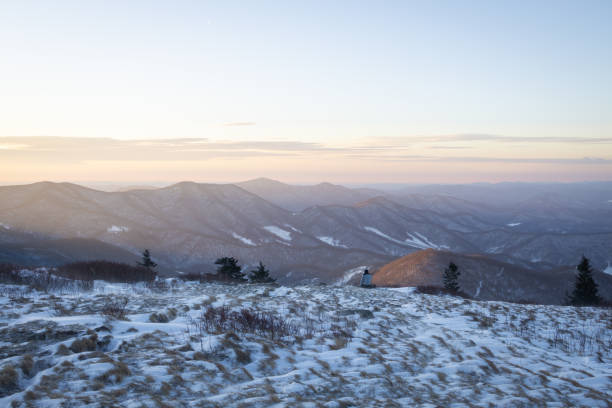 snowy winter sunrise at roan mountain on the north carolina tennessee border - cherokee north carolina asheville blue ridge parkway imagens e fotografias de stock