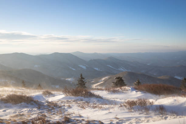 노스 캐롤라이나 테네시 국경에 있는 로안 마운틴의 눈 덮인 겨울 일출 - blue ridge mountains north carolina pine tree hiking 뉴스 사진 이미지