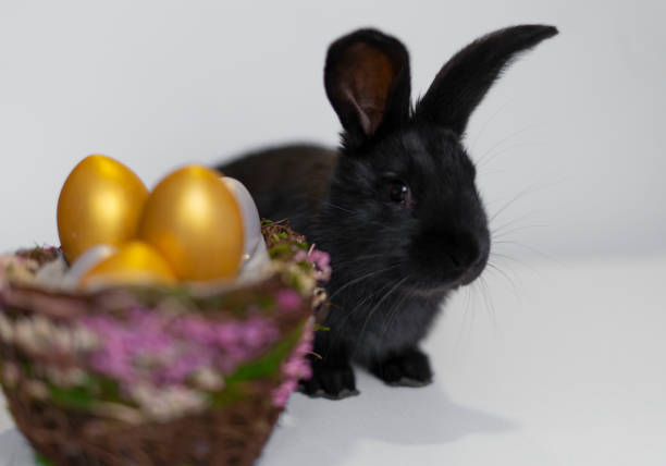 Easter eggs. Multicolored tones. Background for greetings, Religious holiday of Holy Easter. Traditions and customs.